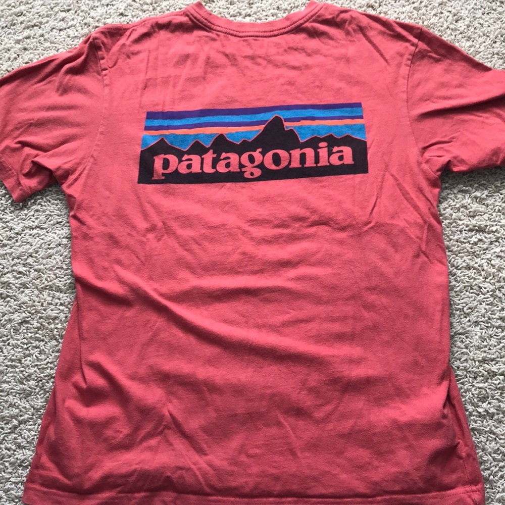 Patagonia t-shirt